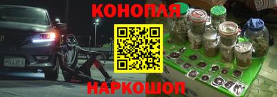 гидра Гагарин