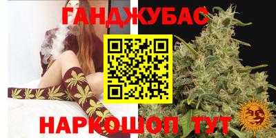 метадон Гай