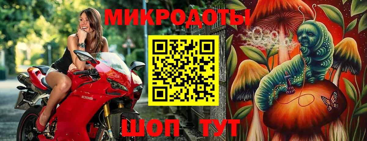 Галлюциногенные грибы прущие грибы  Псилоцибиновые грибы мицелий  Городец  Вход с VPN 