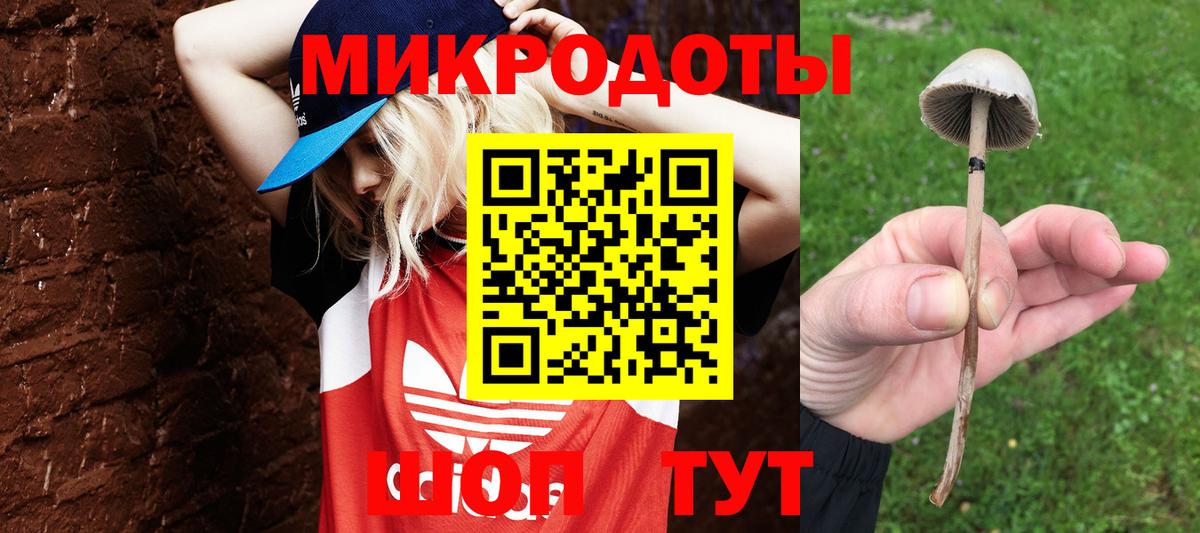 Галлюциногенные грибы ЛСД Городец
